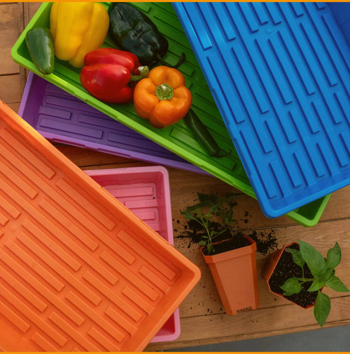 1020 Seed Starting Trays - Colored
