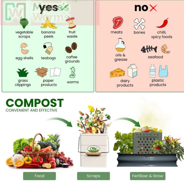 OLLE Garden In ground Worm Compost Bin