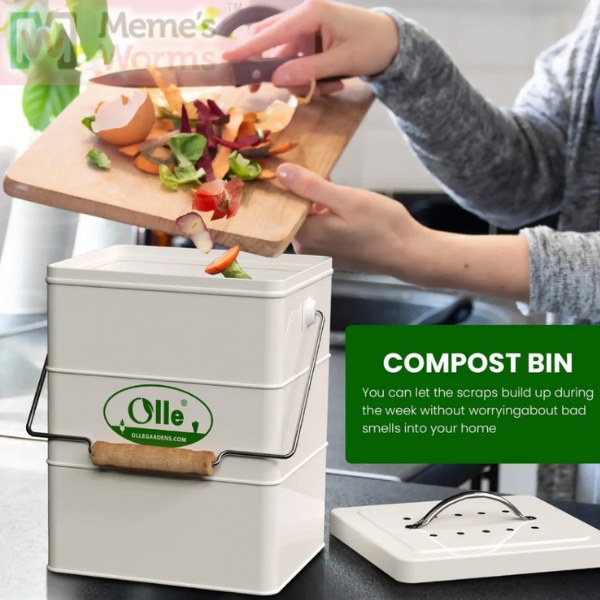 OLLE Garden In ground Worm Compost Bin