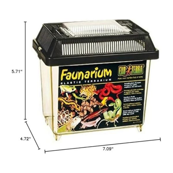 Composting Worm Bin for Teachers – Classroom Composting Kit with Vermifusion