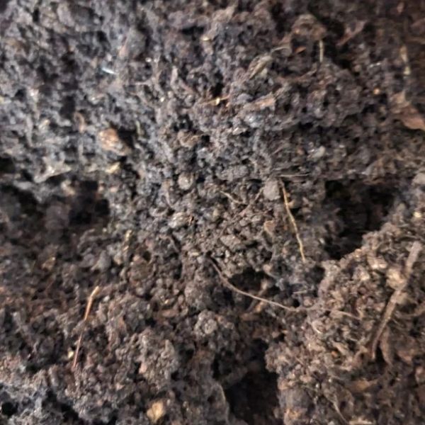 Memes VermiFusion Blend Worm Bedding
