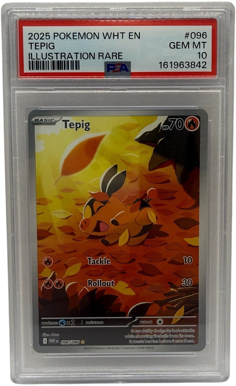 2025 Pokémon White Flare Tepig Illustration Rare #096 PSA 10 GEM MINT