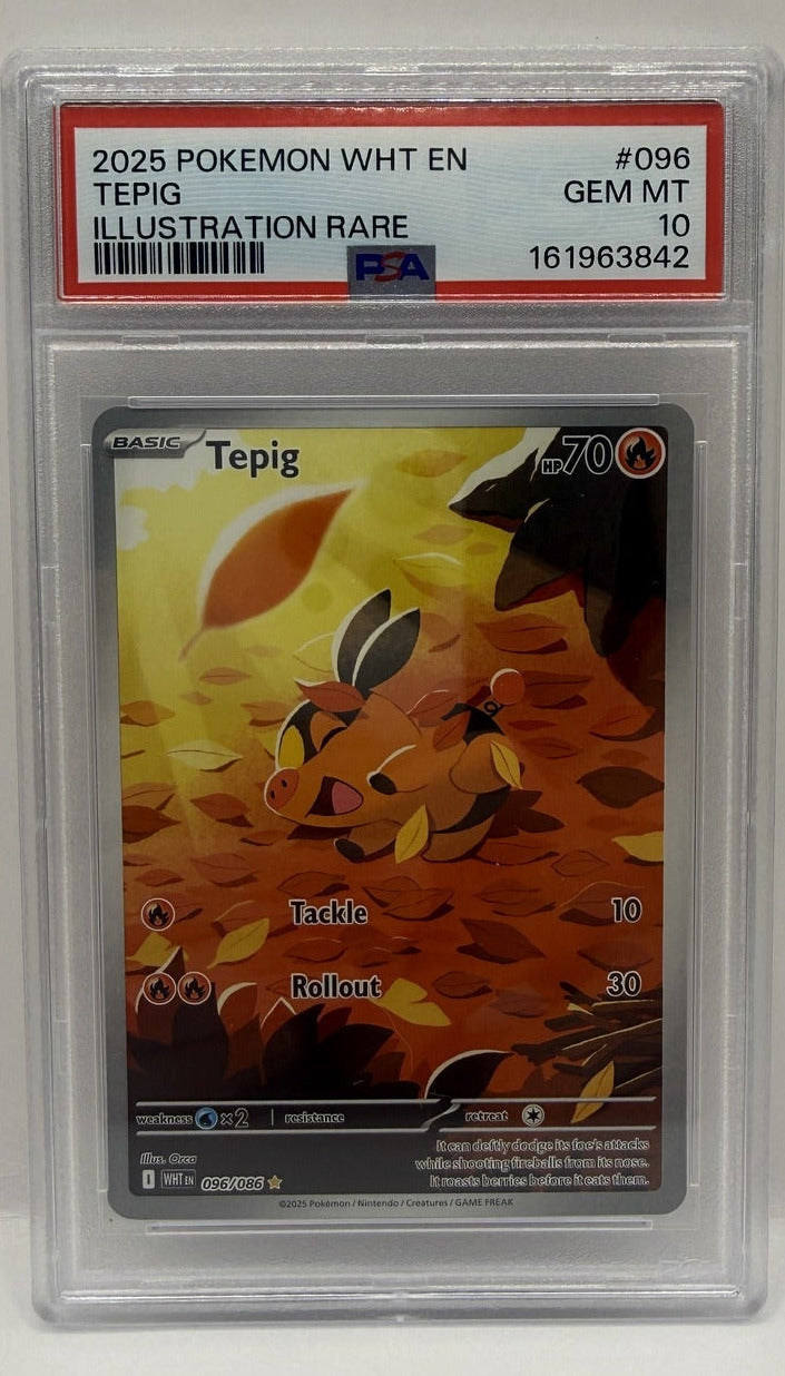 2025 Pokémon White Flare Tepig Illustration Rare #096 PSA 10 GEM MINT