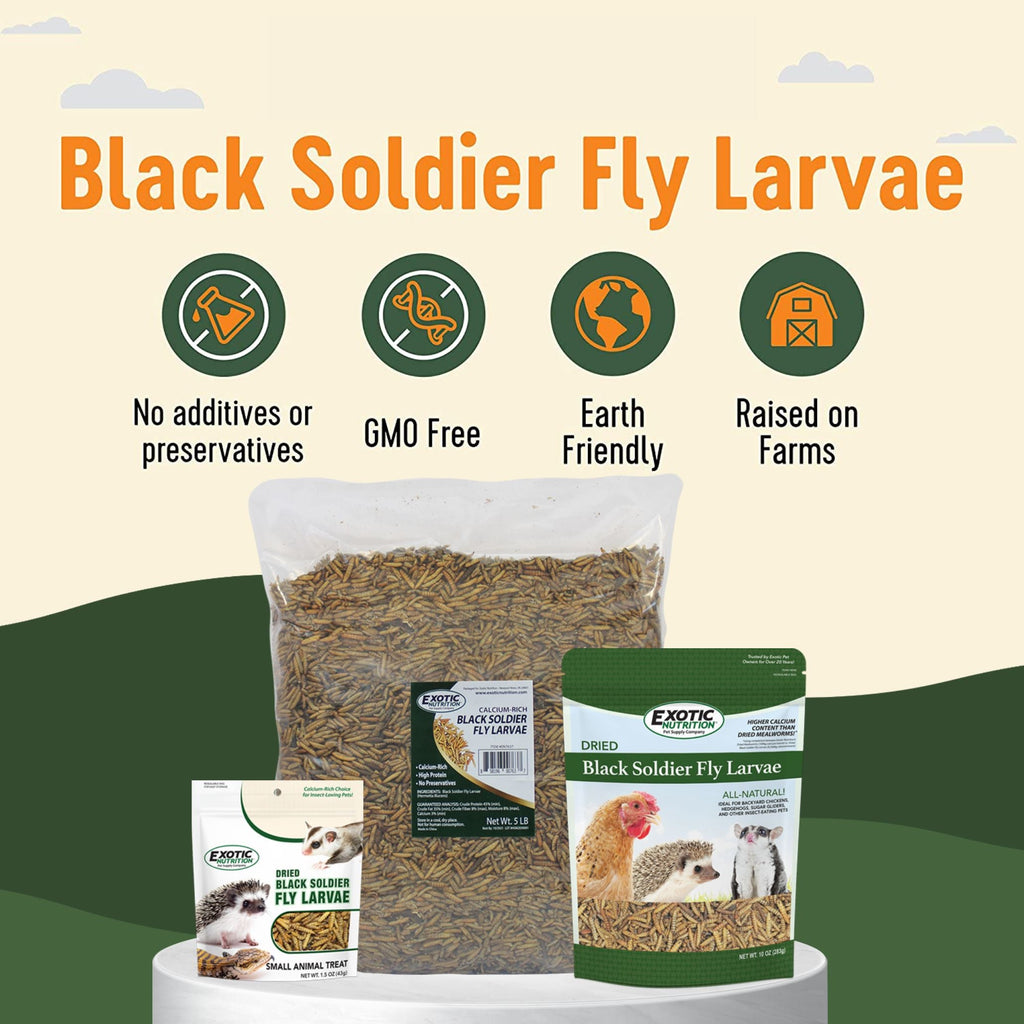 Dried Black Soldier Fly Larvae