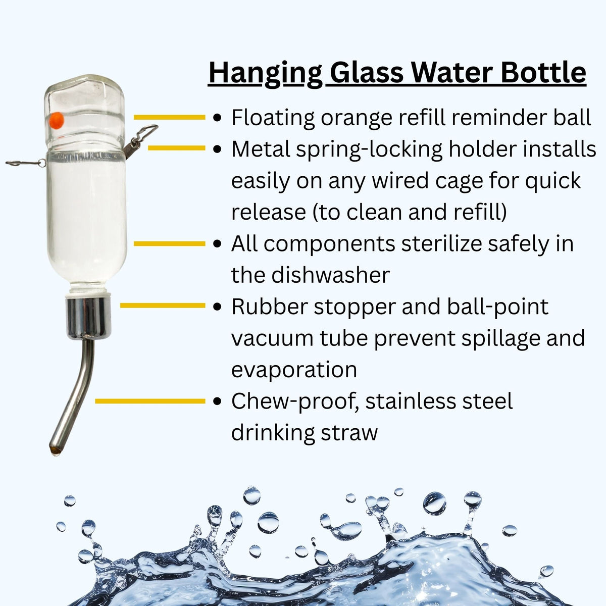 Glass Water Bottle 12 oz.