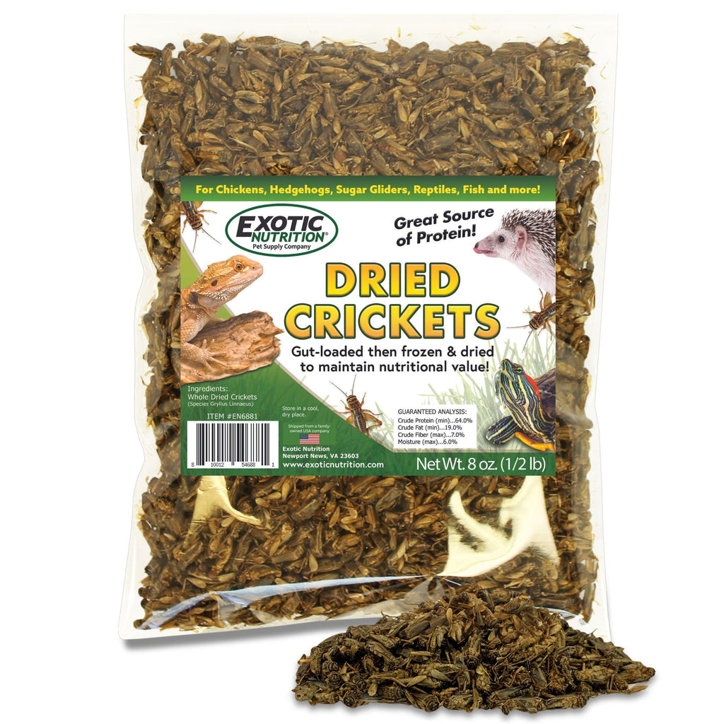Dried Crickets