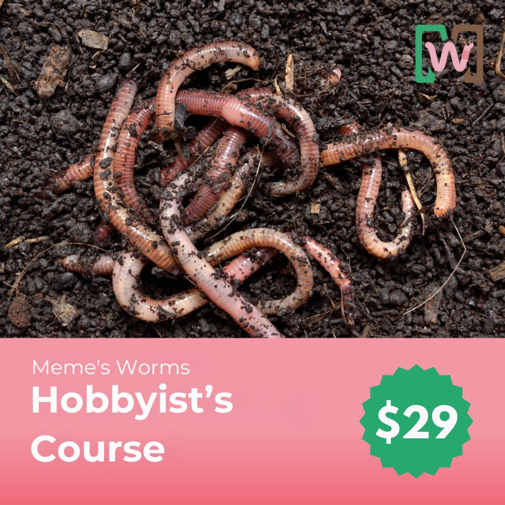 Worm Farming Course for Hobbyist - 50% OFF on Mix Worms