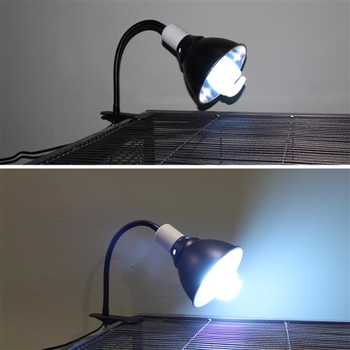 UVB Set (Gooseneck Lamp with Dome + UVB Bulb 26 Watt)