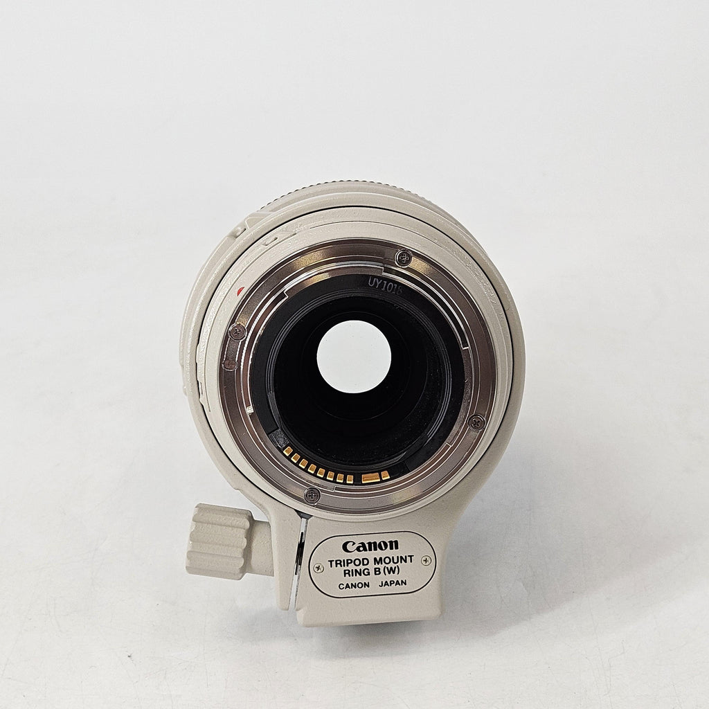Canon EF 100-400mm White