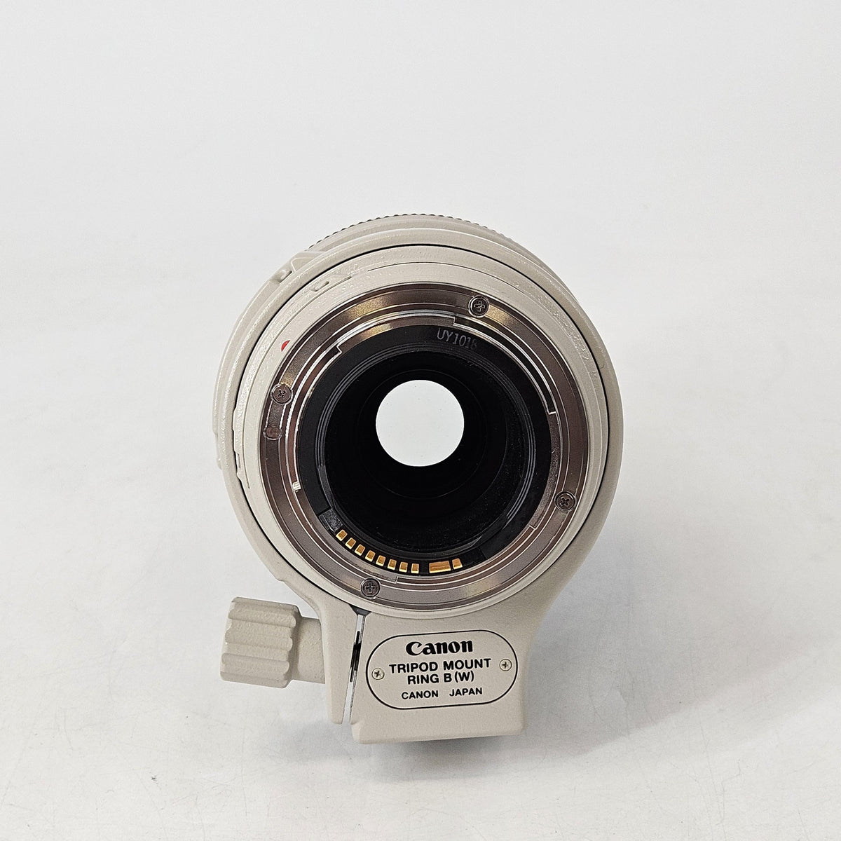 Canon EF 100-400mm White