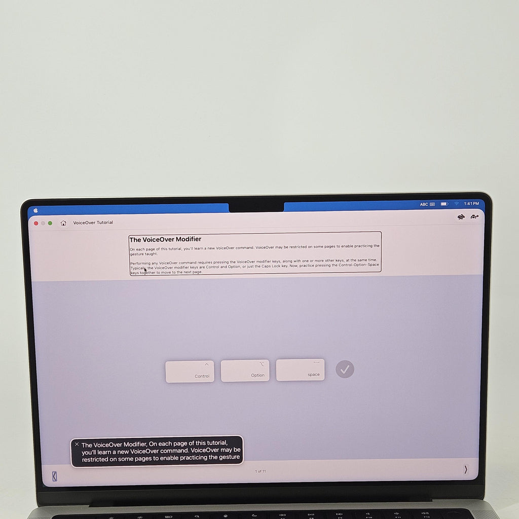 Apple MacBook Pro 14 2024 Silver M4 10-Core CPU 32GB Unified Memory 1TB Solid State Drive 10-Core GPU