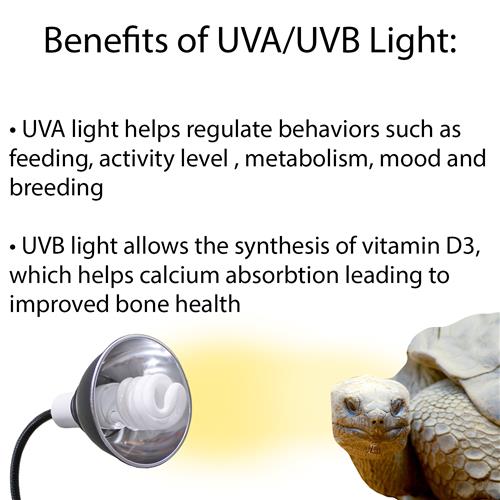 UVB Set (Gooseneck Lamp with Dome + UVB Bulb 26 Watt)