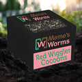 Pure Red Wigglers Worm Cocoons - Composting Worms Eisenia Fetida