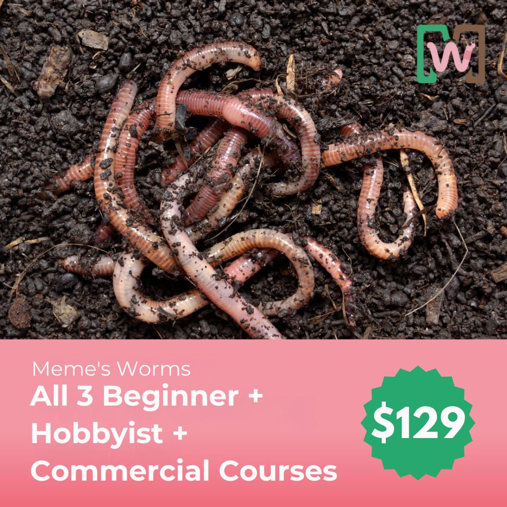 Meme’s Worms Beginner, Hobbyist & Commercial Course Bundle