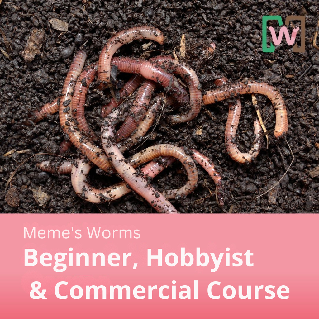 Commercial Worm Farming Bundle
