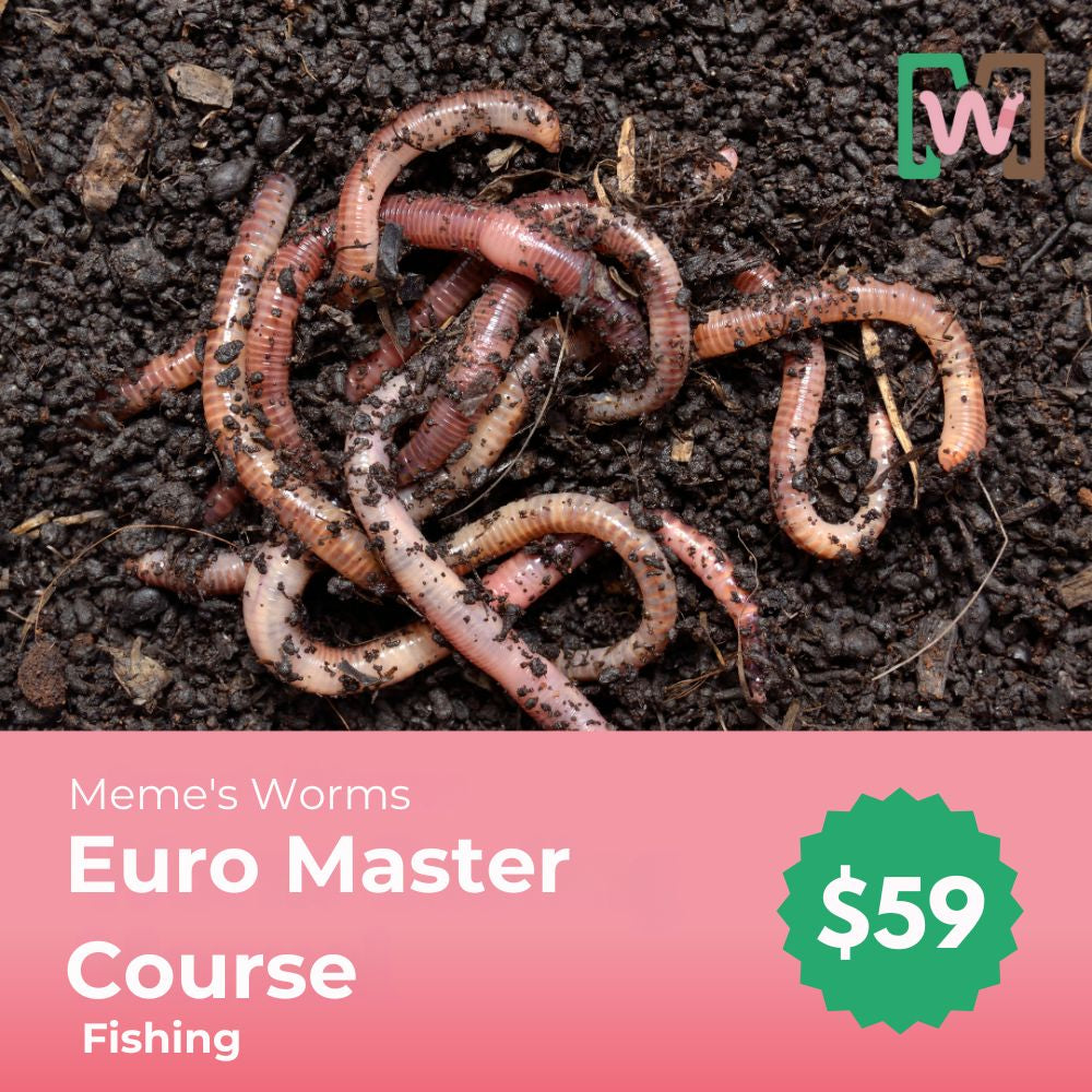 Meme's Worms Euro Fishing Master Course - 50% OFF With Euro Worms