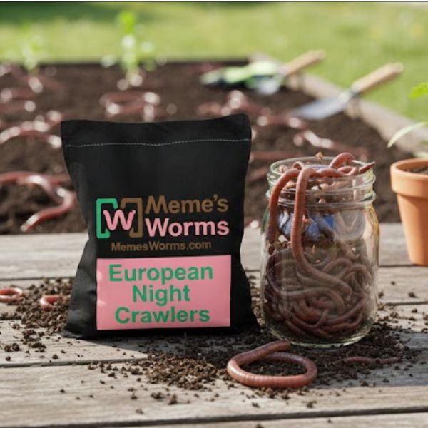 Bulk Pure European Nightcrawlers For Sale - Composting Worms - FREE SHIPPING