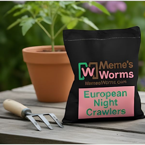 Bulk Pure European Nightcrawlers For Sale - Composting Worms - FREE SHIPPING