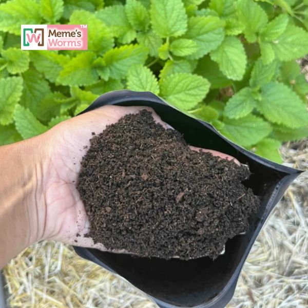 Bulk Worm Castings For Sale