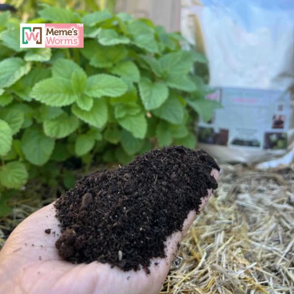 Bulk Worm Castings For Sale