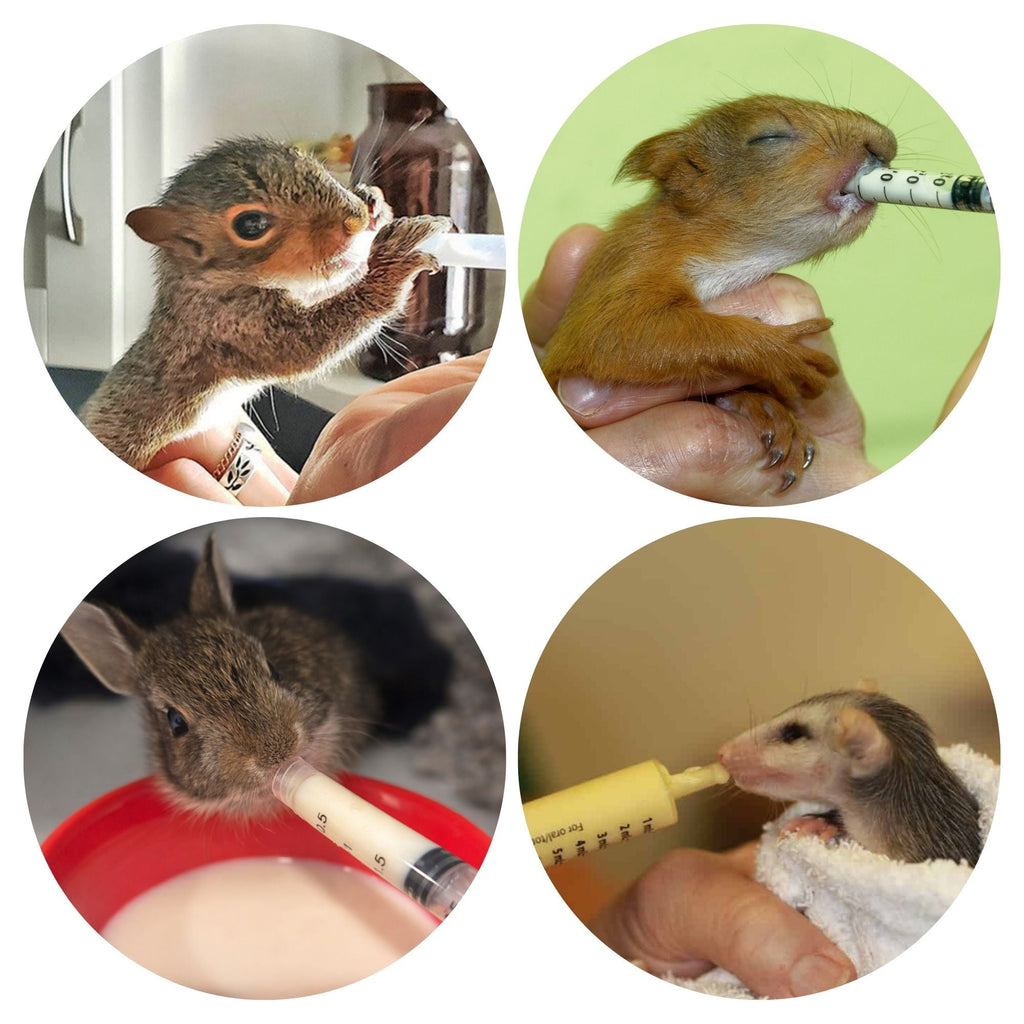 Baby Squirrel Nursing Set
