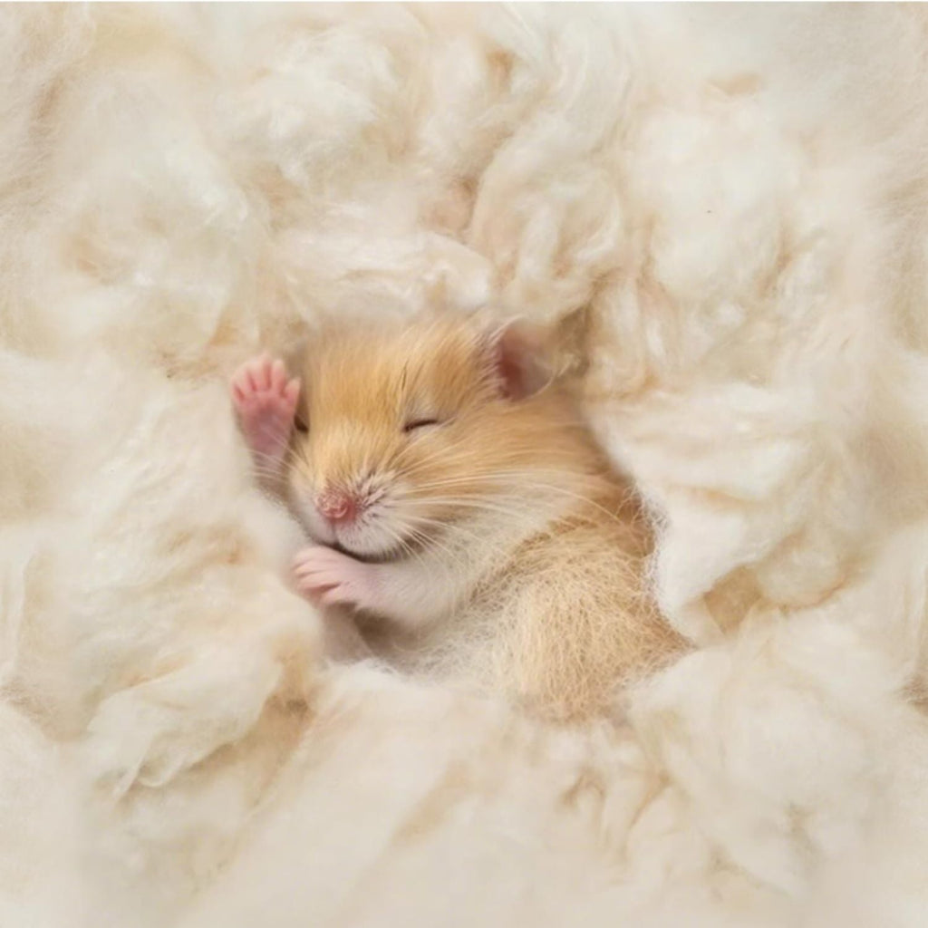 All-Natural Nesting Material