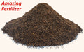 Black Soldier Fly Larvae Poop - Free Shipping