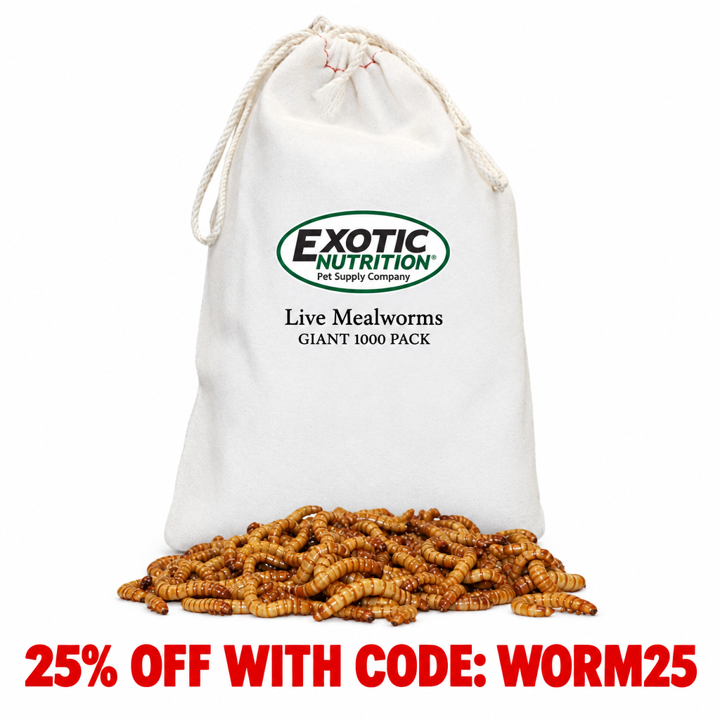 Giant Live Mealworms (1")