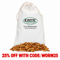 Giant Live Mealworms (1")