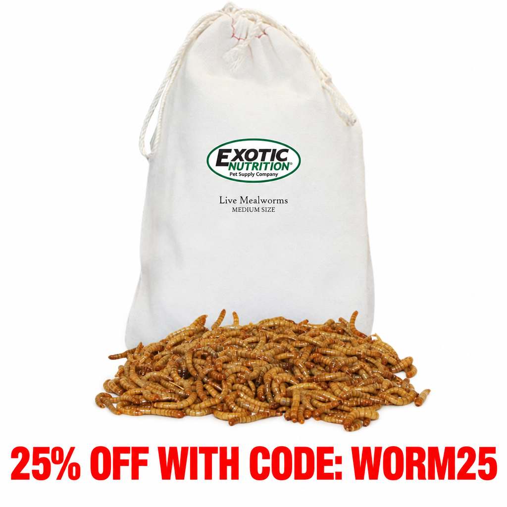 Medium Live Mealworms (1/2")