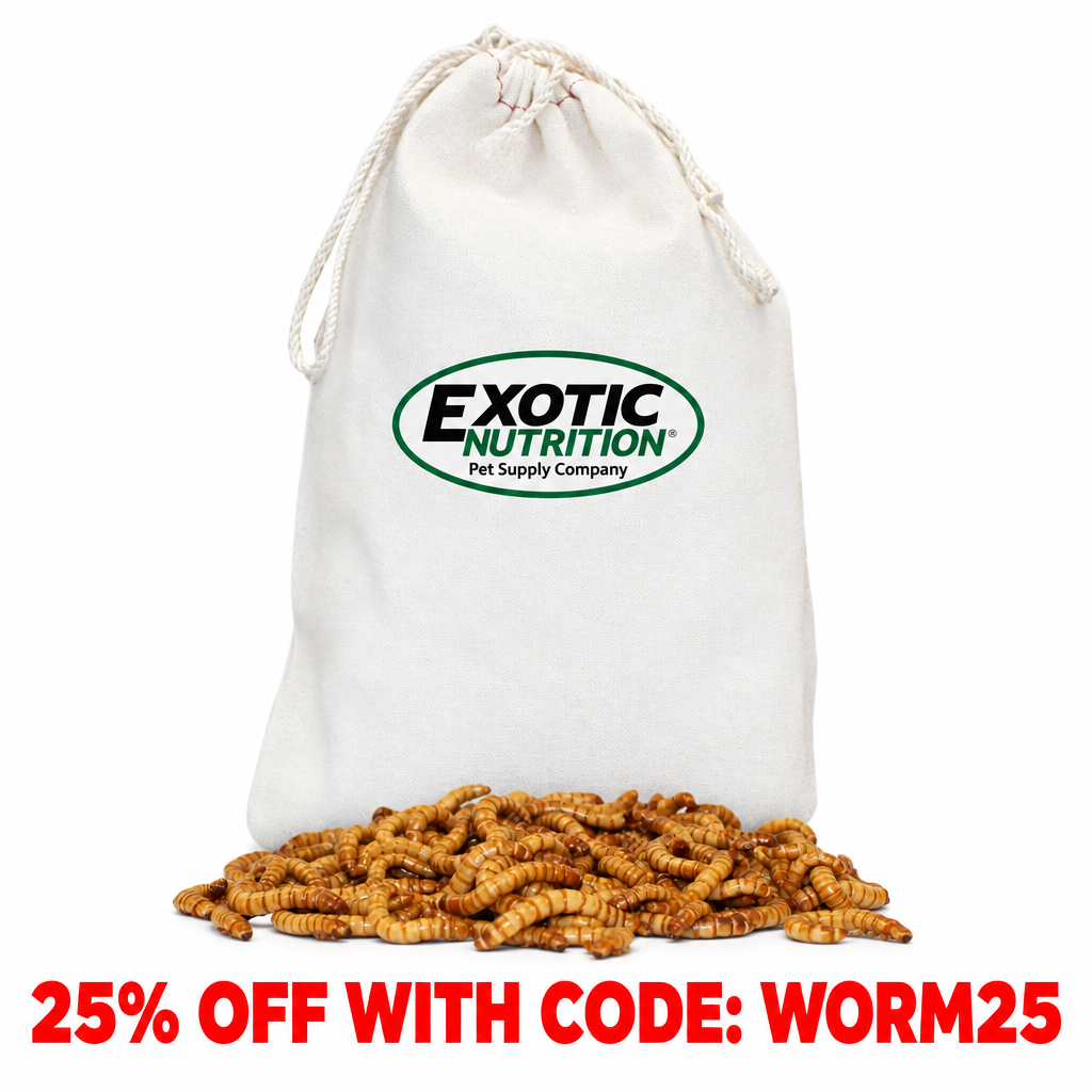 Large Live Mealworms (3/4")