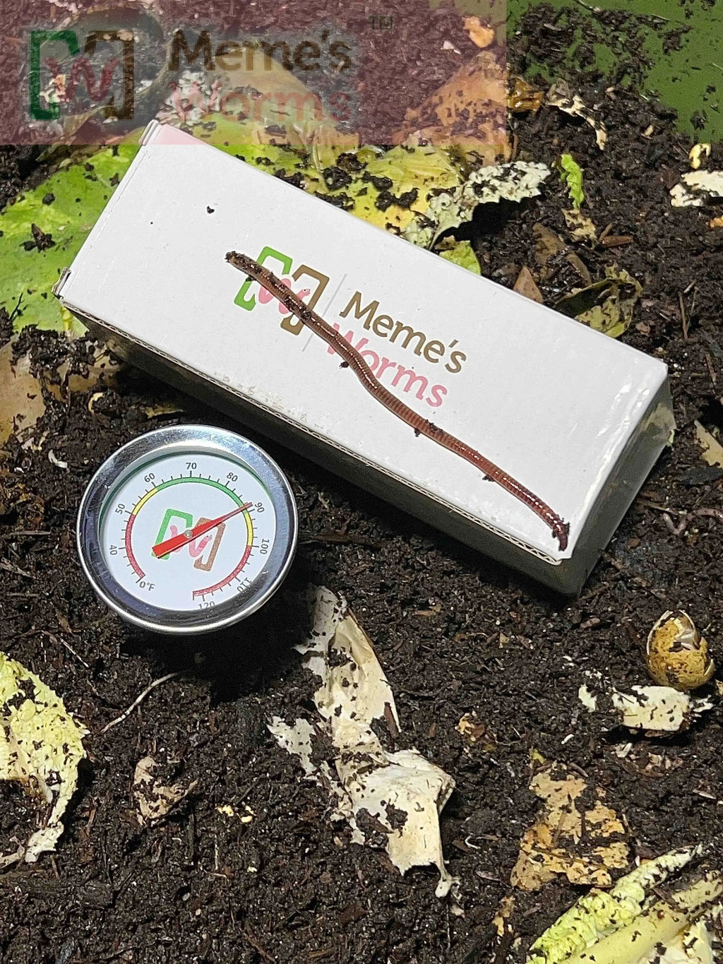 Beginner Composting Bundle