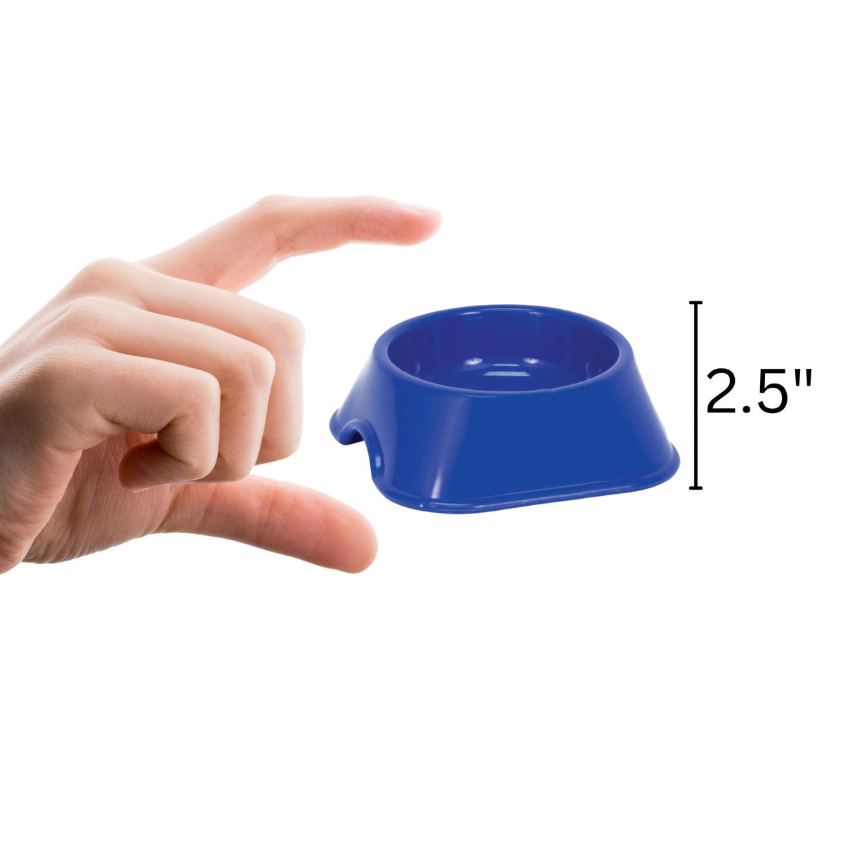 Best Buy Bowl
