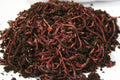 5,000 Composting Worms