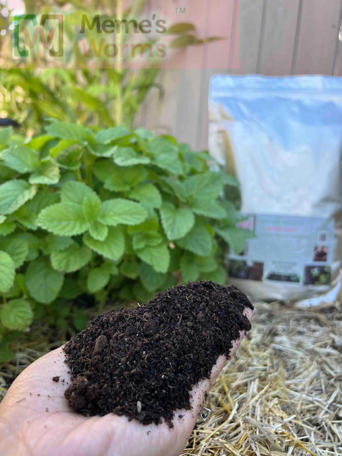 Hobbyist Bundle - Ready to Go Worm System, Worm Bin, Course and Castings