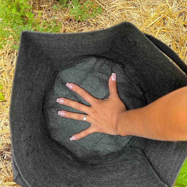 Ready-to-Go Ecosystem with Esienia fiteda composting worms