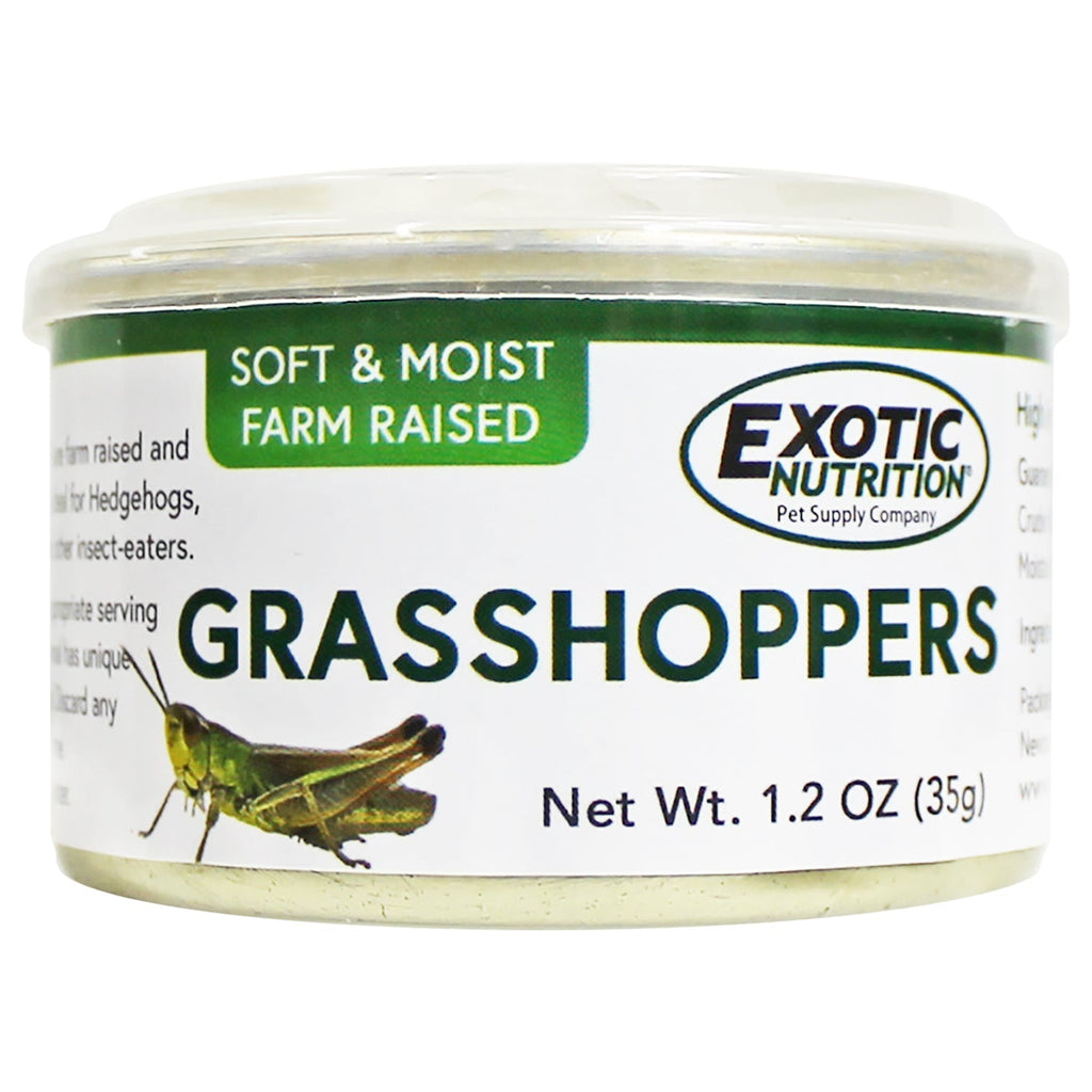 Canned Grasshoppers