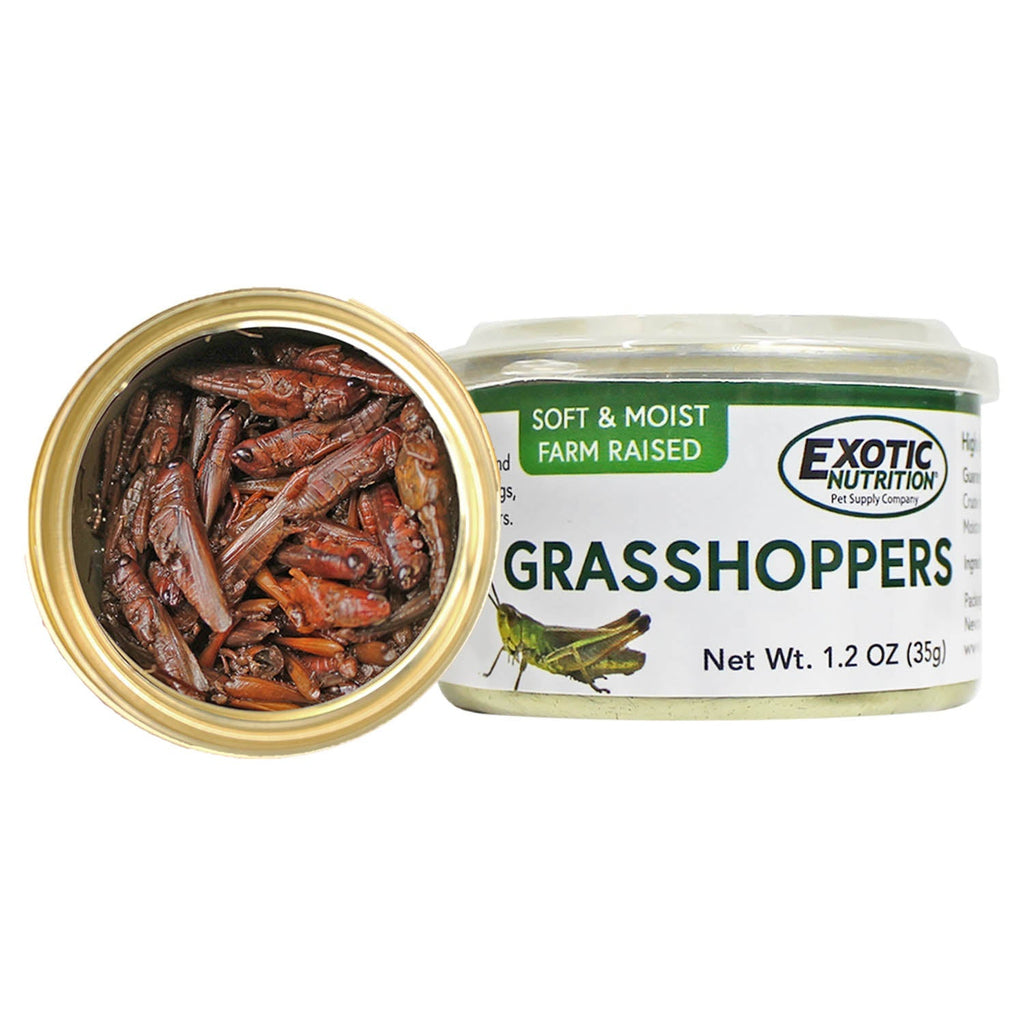 Canned Grasshoppers