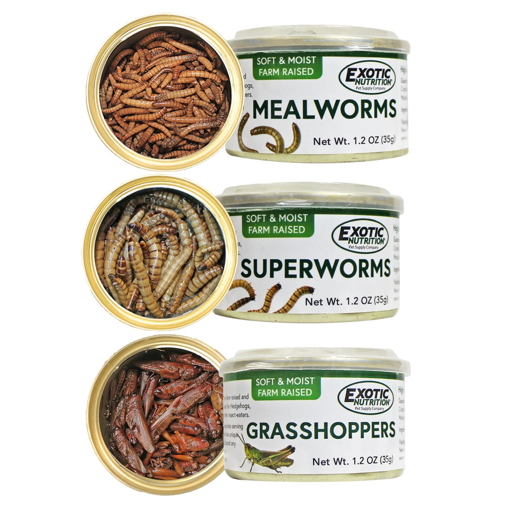 Canned Insect Assortment