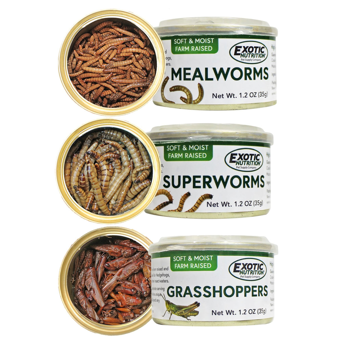 Canned Insect Assortment