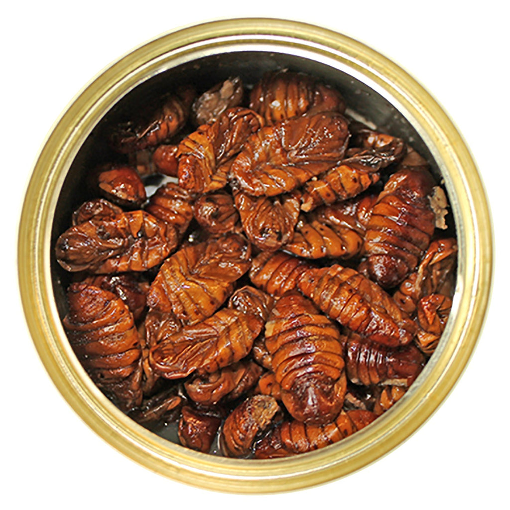 Canned Silkworm Pupae