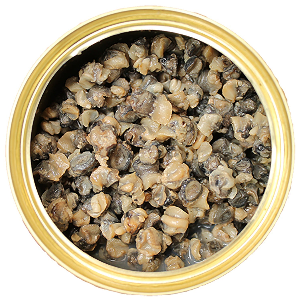 Canned Snails