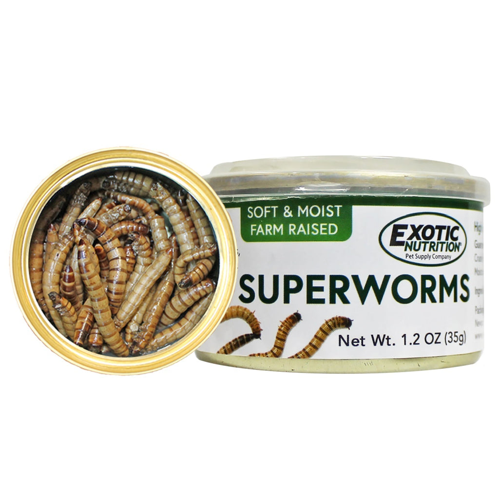Canned Superworms