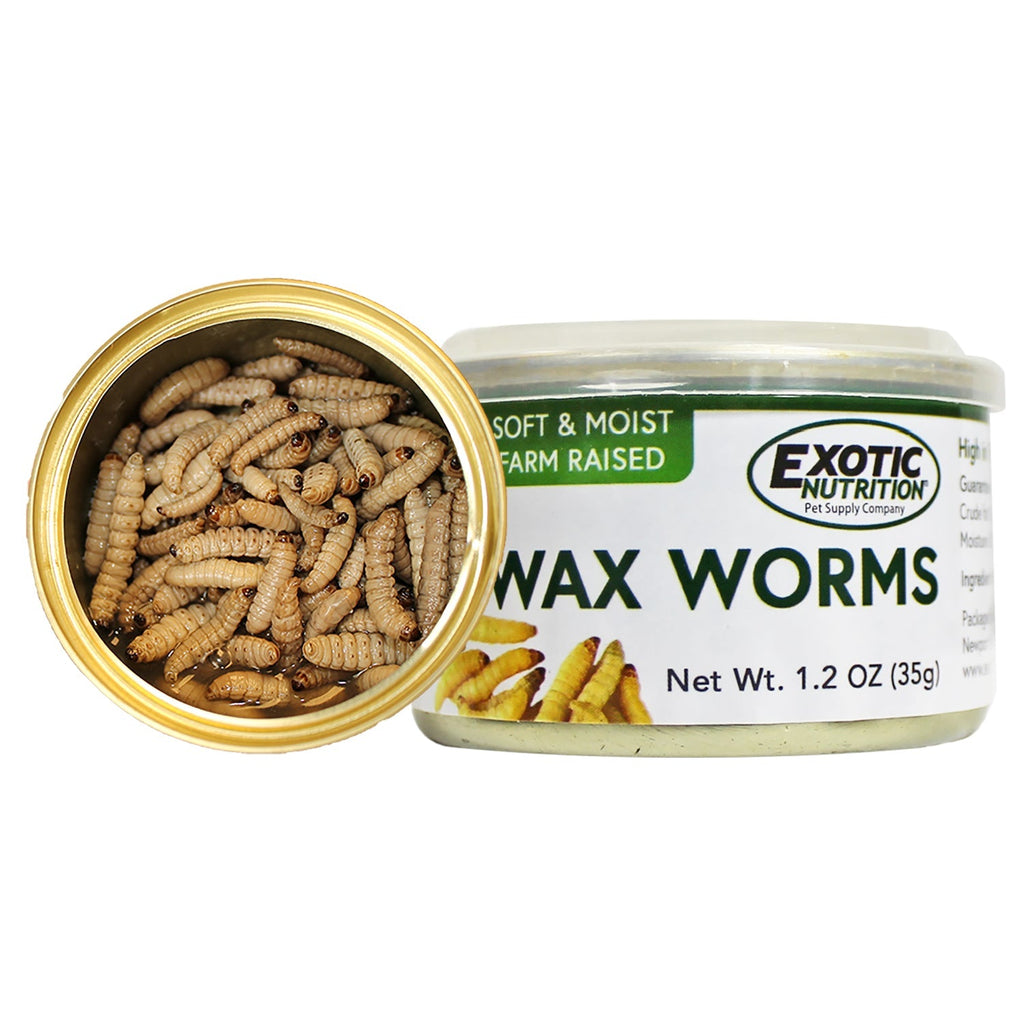 Canned Wax Worms
