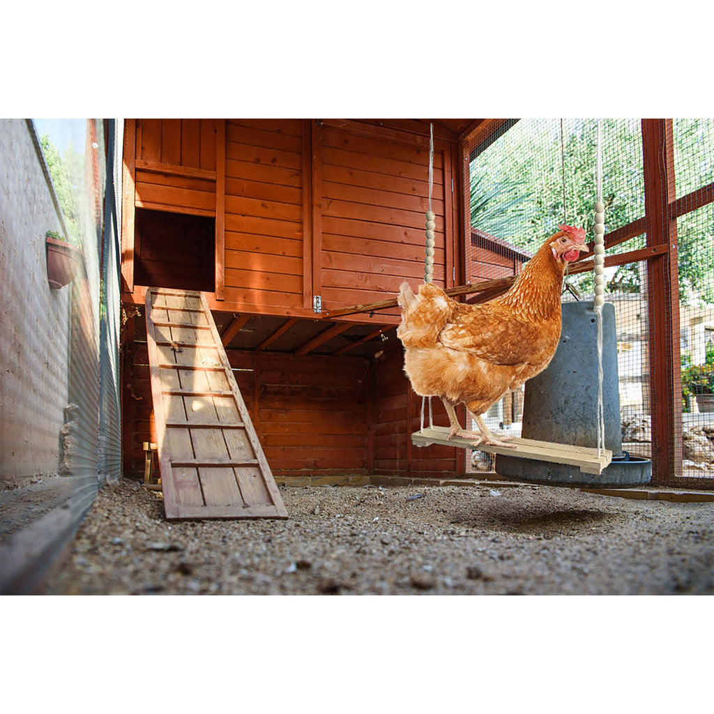 Chicken Swing