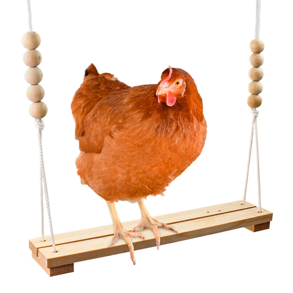 Chicken Swing