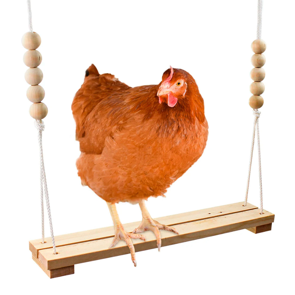 Chicken Swing