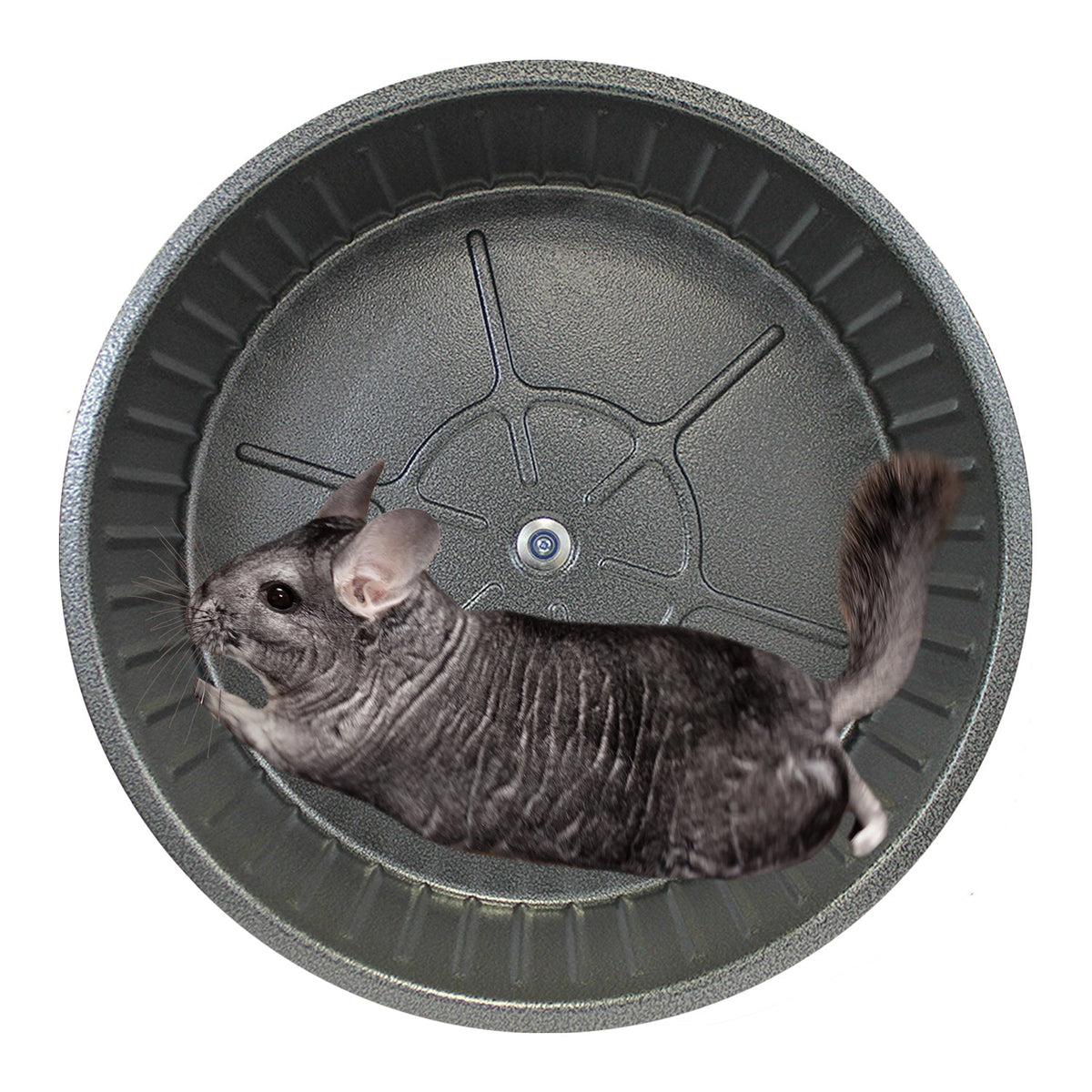 Chin-Sprint Wheel 15"