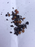 European Nightcrawler Cocoons For Sale