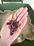 Commercial Worm Farming Bundle